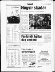 Síða 14