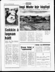 Síða 5
