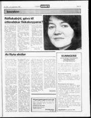 Síða 13