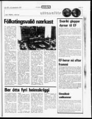 Síða 15