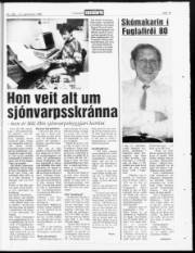 Síða 19
