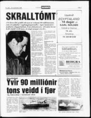 Síða 3