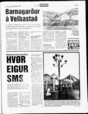 Síða 5