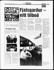 Síða 11