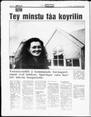 Síða 14