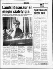 Síða 15