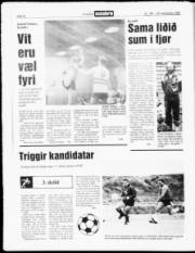 Síða 16