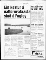 Síða 4