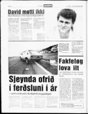 Síða 6