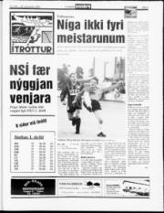Síða 7