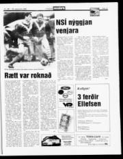 Síða 13