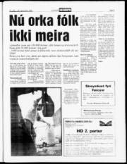 Síða 3