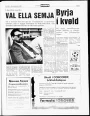 Síða 5