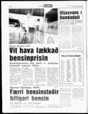 Síða 6