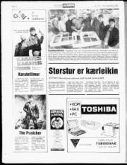 Síða 12