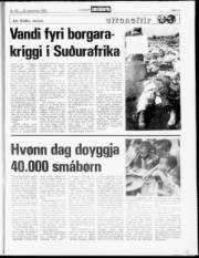 Síða 13