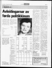 Síða 17