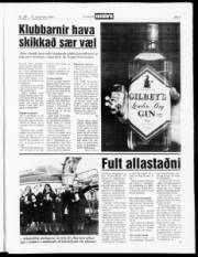 Síða 3