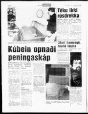 Síða 6