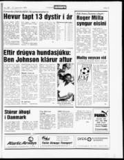 Síða 13