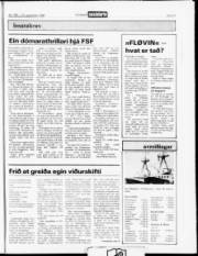 Síða 17