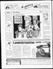 Síða 20