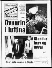 Síða 1