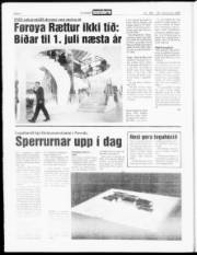 Síða 6