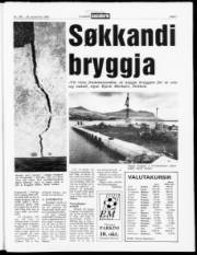 Síða 7