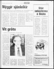 Síða 19