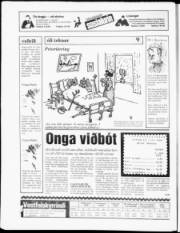 Síða 20