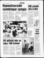 Síða 3