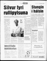 Síða 4