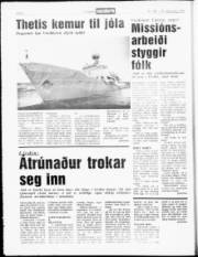 Síða 6