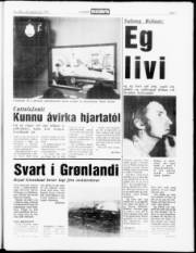 Síða 7
