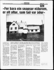 Síða 11