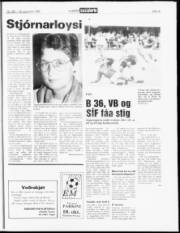 Síða 14