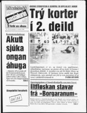 Síða 1
