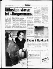 Síða 3