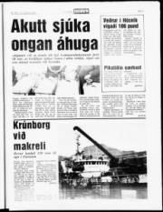 Síða 5