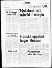Síða 8