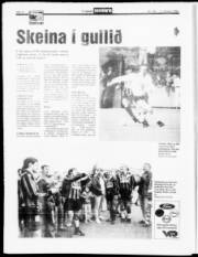 Síða 12