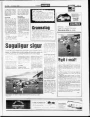 Síða 13