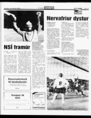Síða 15