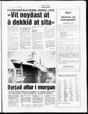 Síða 5