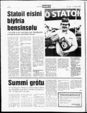 Síða 6