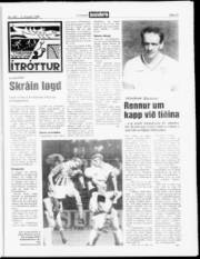 Síða 13
