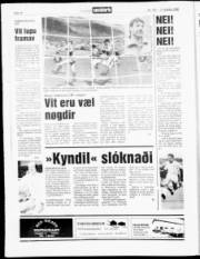 Síða 14