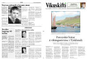 Síða 11