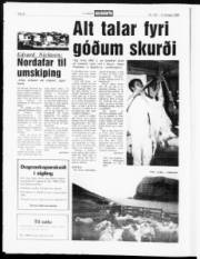 Síða 8